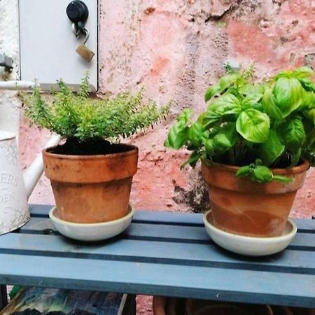 La Casa Di Mo Villa Albisola Superiore Bagian luar foto