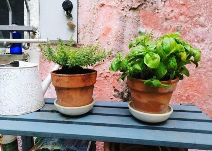 La Casa Di Mo Villa Albisola Superiore Bagian luar foto