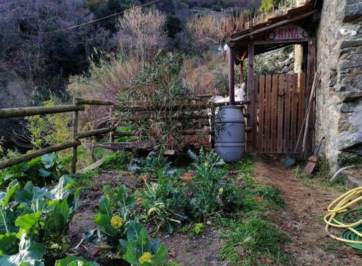 La Casa Di Mo Villa Albisola Superiore Bagian luar foto
