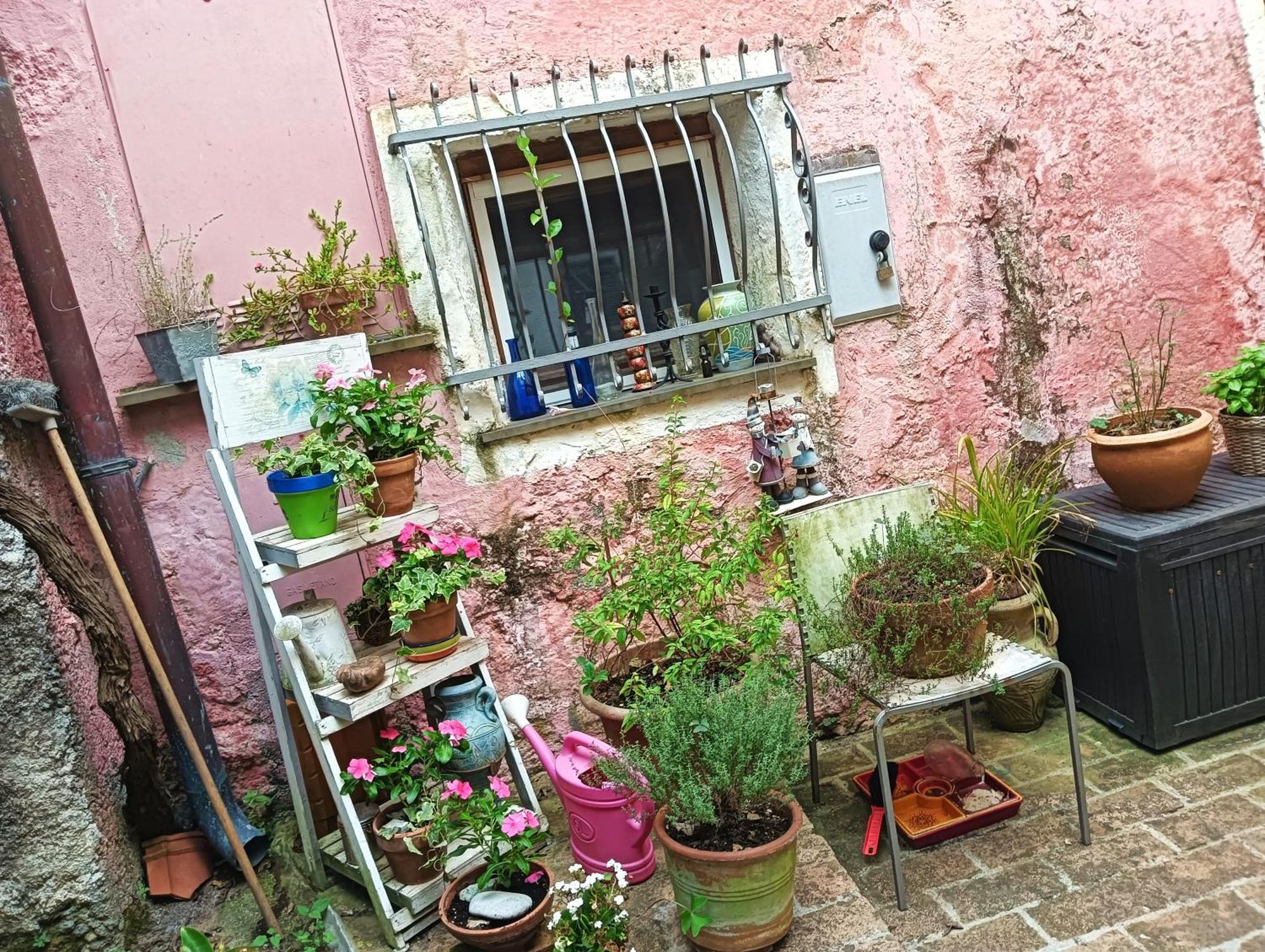 La Casa Di Mo Villa Albisola Superiore Bagian luar foto